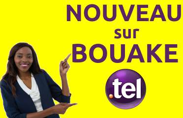 Partenaires écomomiques et financiers de la région de BOUAKE, construisez votre partenariat d'avenir avec BOUAKE.TEL 